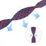 بند گرین مدل Braided Solo Loop Strap مناسب برای اپل واچ 42/44 میلی متری