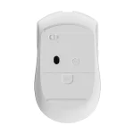 قیمت-و-خرید-ماوس-بی-سیم-رپو-m350.webp