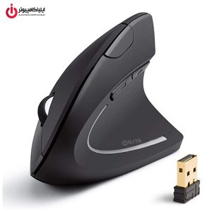 ماوس وایرلس ارگونومیک هویت مدل HAVIT MS550GT